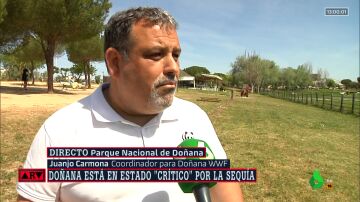 La organización ambiental WWF denuncia las consecuencias negativas que tendrá para Doñana la ley del PP y Vox