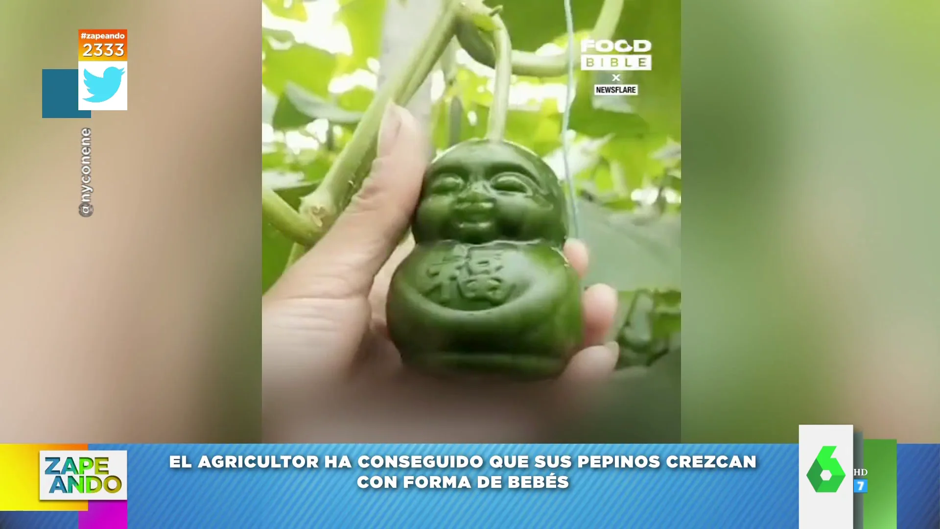 La creativa idea de un agricultor chino para recolectar pepinos personalizados en su huerto