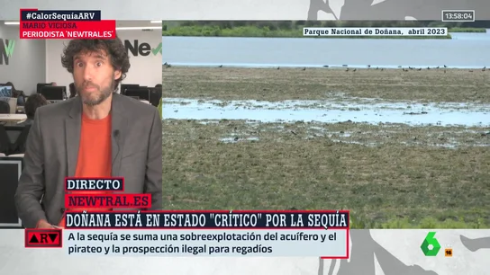¿Qué factores influyen en que Doñana se encuentre en estado crítico? Mario Viciosa responde ¿Qué factores influyen en que Doñana se encuentre en estado crítico? Mario Viciosa responde