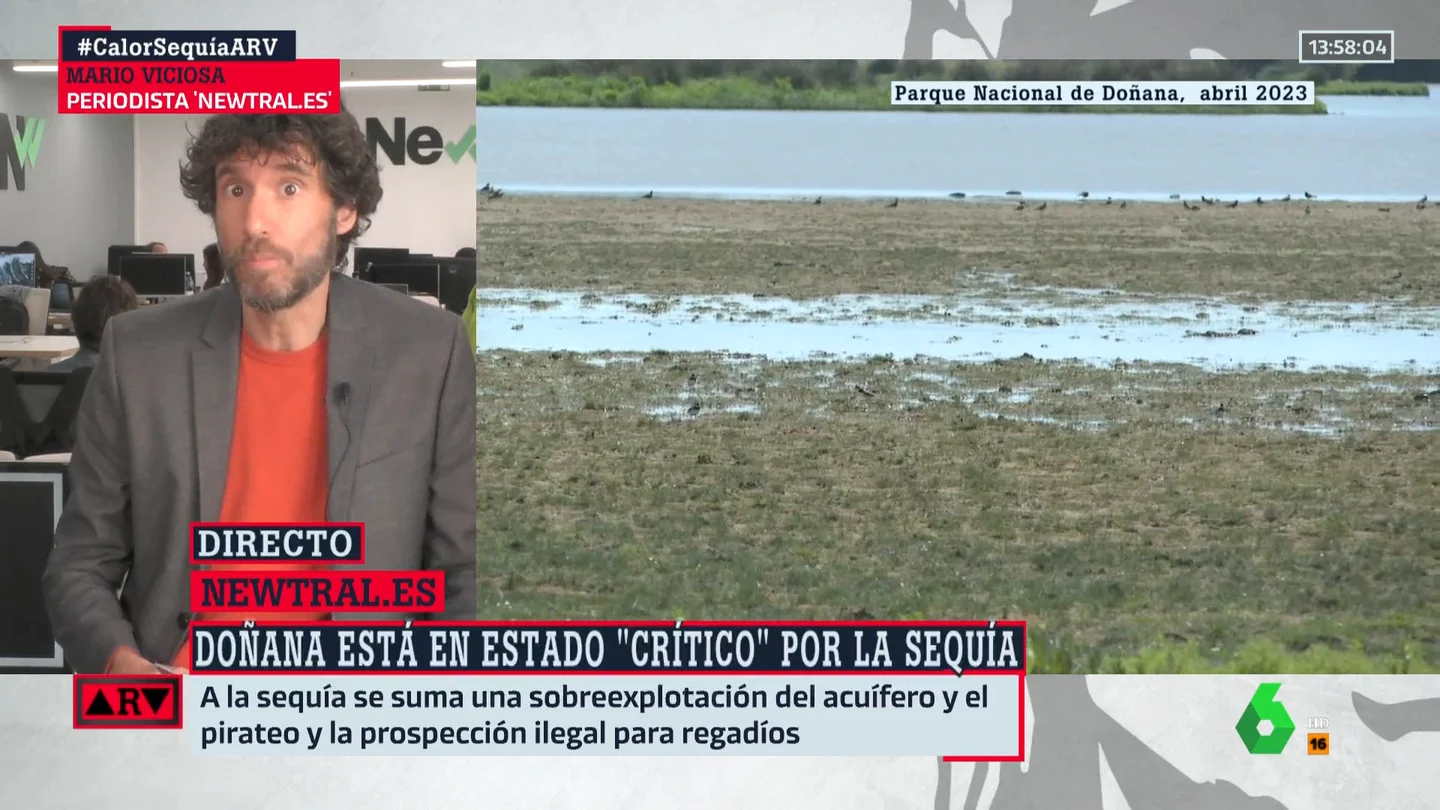 ¿Qué factores influyen en que Doñana se encuentre en estado crítico? Mario Viciosa responde ¿Qué factores influyen en que Doñana se encuentre en estado crítico? Mario Viciosa responde