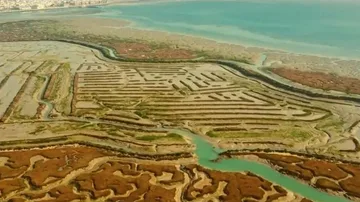 Vista espectacular de unas antiguas salinas de la Bahía de Cádiz, en 'Heridas'.
