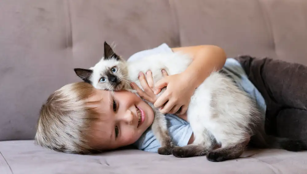 Niño con gato