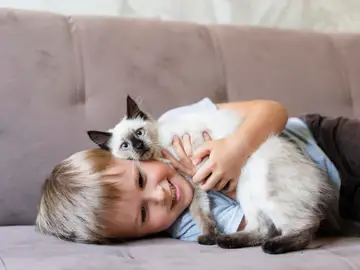 Niño con gato Niño con gato