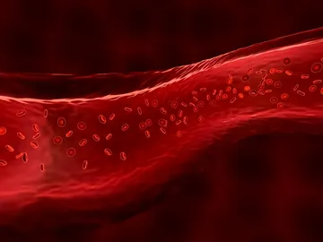 Nanotransportadores de oxigeno para ayudar a la fototerapia a combatir tumores Nanotransportadores de oxigeno para ayudar a la fototerapia a combatir tumores
