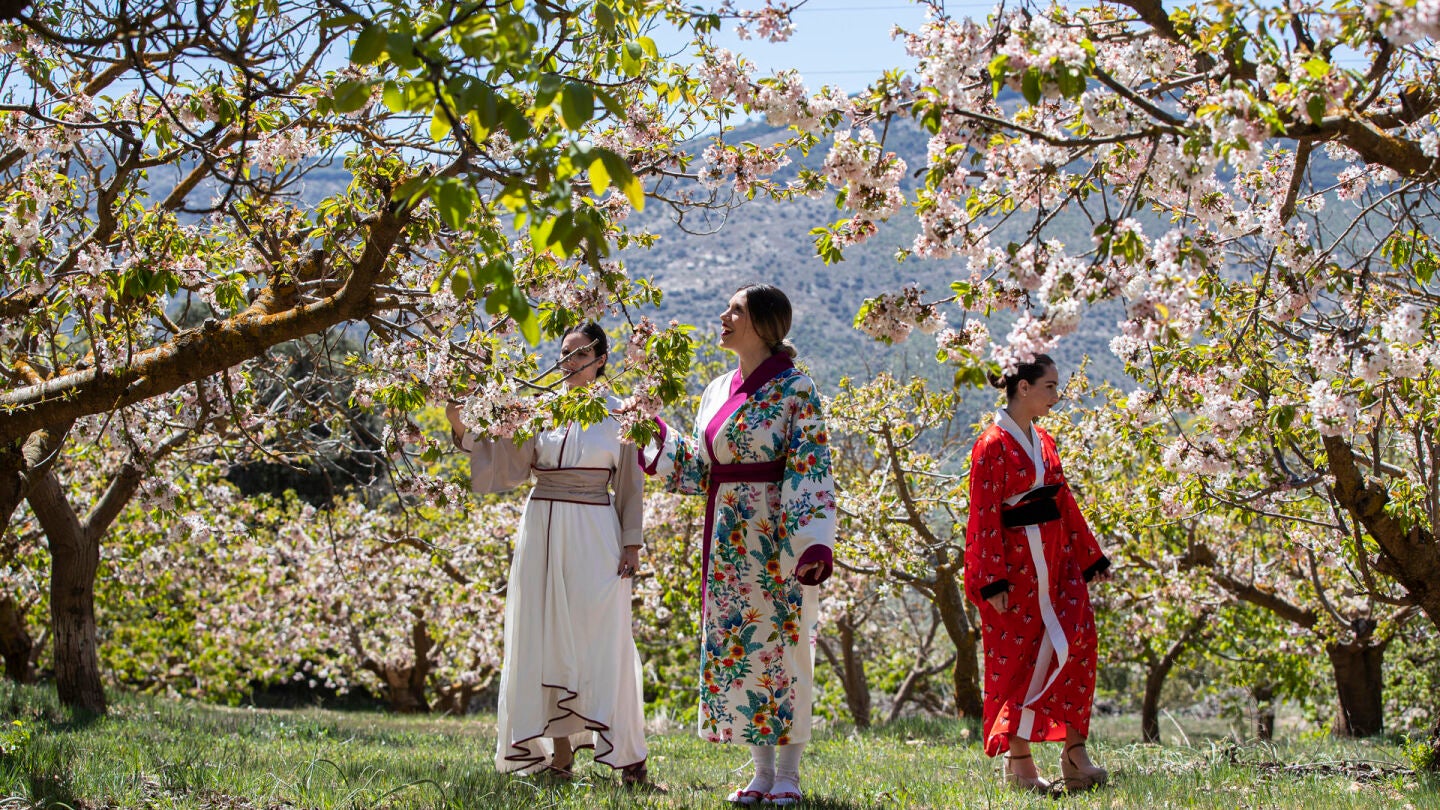 Alfarnate, pueblo de M&aacute;laga, durante el Sakura