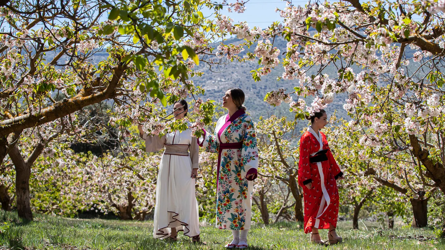 Alfarnate, pueblo de Málaga, durante el Sakura Alfarnate, pueblo de Málaga, durante el Sakura