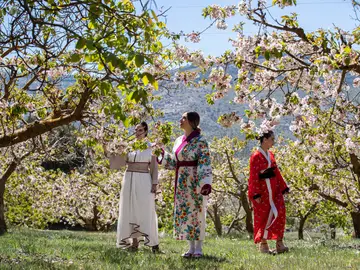 Alfarnate, pueblo de Málaga, durante el Sakura Alfarnate, pueblo de Málaga, durante el Sakura