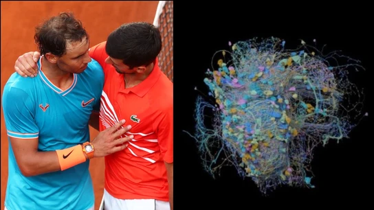 Rafa Nadal y Djokovic Rafa Nadal y Djokovic