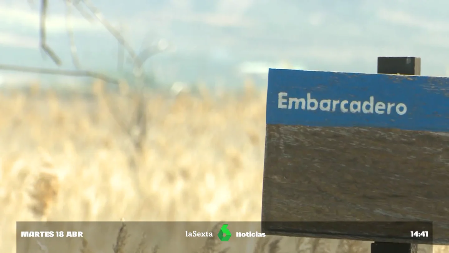 Las Tablas de Daimiel también se secan: apenas un 10% de su territorio está encharcado en estas fechas Las Tablas de Daimiel también se secan: apenas un 10% de su territorio está encharcado en estas fechas