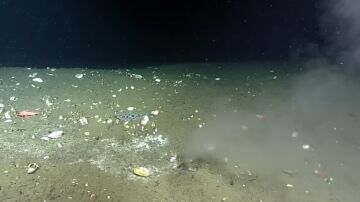  Descubren una misteriosa fuga en el fondo del Océano Pacífico en una zona de alto riesgo sísmico