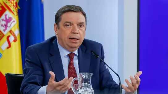 El ministro de Agricultura, Pesca y Alimentación, Luis Planas, durante la rueda de prensa posterior a la reunión del Consejo de Ministros. El ministro de Agricultura, Pesca y Alimentación, Luis Planas, durante la rueda de prensa posterior a la reunión del Consejo de Ministros.