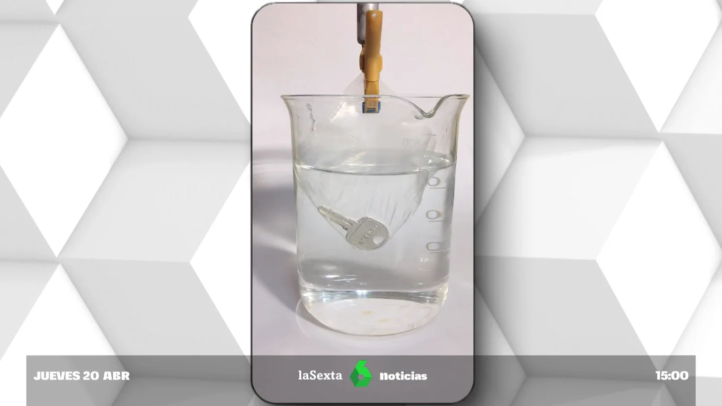 Camm, la alternativa al plástico que se disuelve en el agua sin dejar rastro Camm, la alternativa al plástico que se disuelve en el agua sin dejar rastro