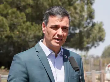 El presidente del Gobierno, Pedro Sánchez , durante unas declaraciones a los medios en su visita este jueves al Parque Nacional de Doñana.