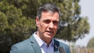 El presidente del Gobierno, Pedro Sánchez , durante unas declaraciones a los medios en su visita este jueves al Parque Nacional de Doñana.