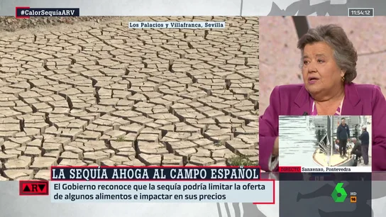 Cristina Almeida, sobre la sequía: "Los niños se creen que el agua sale del grifo" Cristina Almeida, sobre la sequía: "Los niños se creen que el agua sale del grifo"
