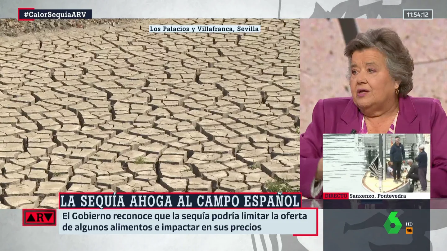 Cristina Almeida, sobre la sequía: "Los niños se creen que el agua sale del grifo" Cristina Almeida, sobre la sequía: "Los niños se creen que el agua sale del grifo"