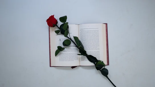 El 23 de abril se celebra el Día del Libro y Sant Jordi, patrón de Cataluña y Aragón El 23 de abril se celebra el Día del Libro y Sant Jordi, patrón de Cataluña y Aragón
