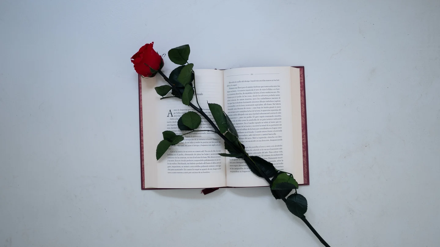 El 23 de abril se celebra el Día del Libro y Sant Jordi, patrón de Cataluña y Aragón El 23 de abril se celebra el Día del Libro y Sant Jordi, patrón de Cataluña y Aragón