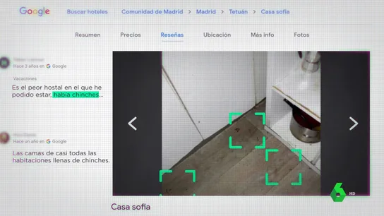 El "hostal de los horrores": "Todas las habitaciones infectadas de chinches y cucarachas" El "hostal de los horrores": "Todas las habitaciones infectadas de chinches y cucarachas"