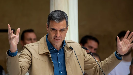 El presidente del Gobierno y secretario general del PSOE, Pedro Sánchez. El presidente del Gobierno y secretario general del PSOE, Pedro Sánchez.