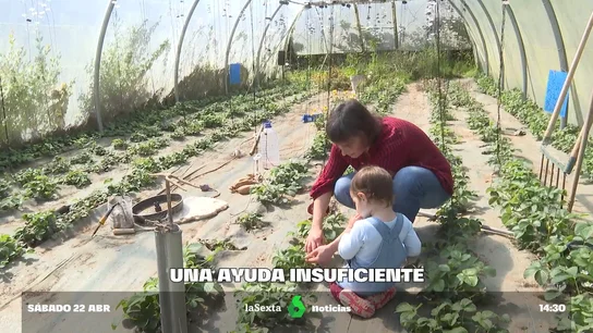 Ser mujer en el campo, un caso minoritario con muchas trabas y escasas ayudas: "Es una miseria" Ser mujer en el campo, un caso minoritario con muchas trabas y escasas ayudas: "Es una miseria"