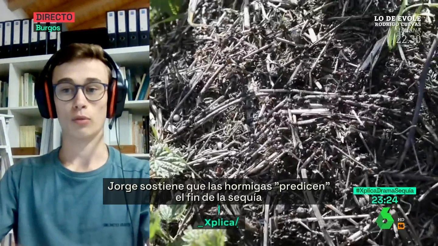 El pronóstico del tiempo de Jorge Rey: "Va a haber un cambio en mayo, con tormentas y temperaturas de primavera" El pronóstico del tiempo de Jorge Rey: "Va a haber un cambio en mayo, con tormentas y temperaturas de primavera"