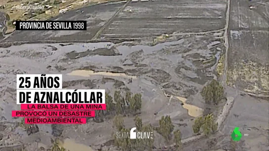 Una reparación millonaria y 30 toneladas de animales muertos: se cumplen 25 años del desastre de Aznalcóllar Una reparación millonaria y 30 toneladas de animales muertos: se cumplen 25 años del desastre de Aznalcóllar