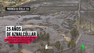 Una reparación millonaria y 30 toneladas de animales muertos: se cumplen 25 años del desastre de Aznalcóllar