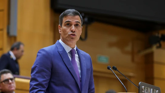 Pedro Sánchez, en el Senado Pedro Sánchez, en el Senado