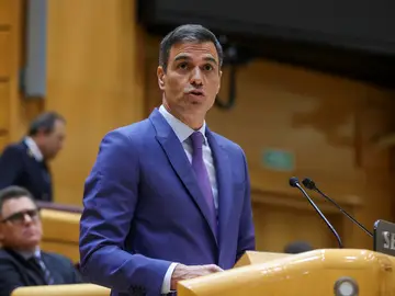 Pedro Sánchez, en el Senado