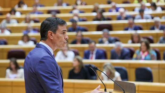 El presidente del Gobierno, Pedro Sánchez, durante su intervención en el Senado El presidente del Gobierno, Pedro Sánchez, durante su intervención en el Senado
