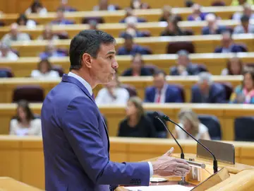El presidente del Gobierno, Pedro Sánchez, durante su intervención en el Senado
