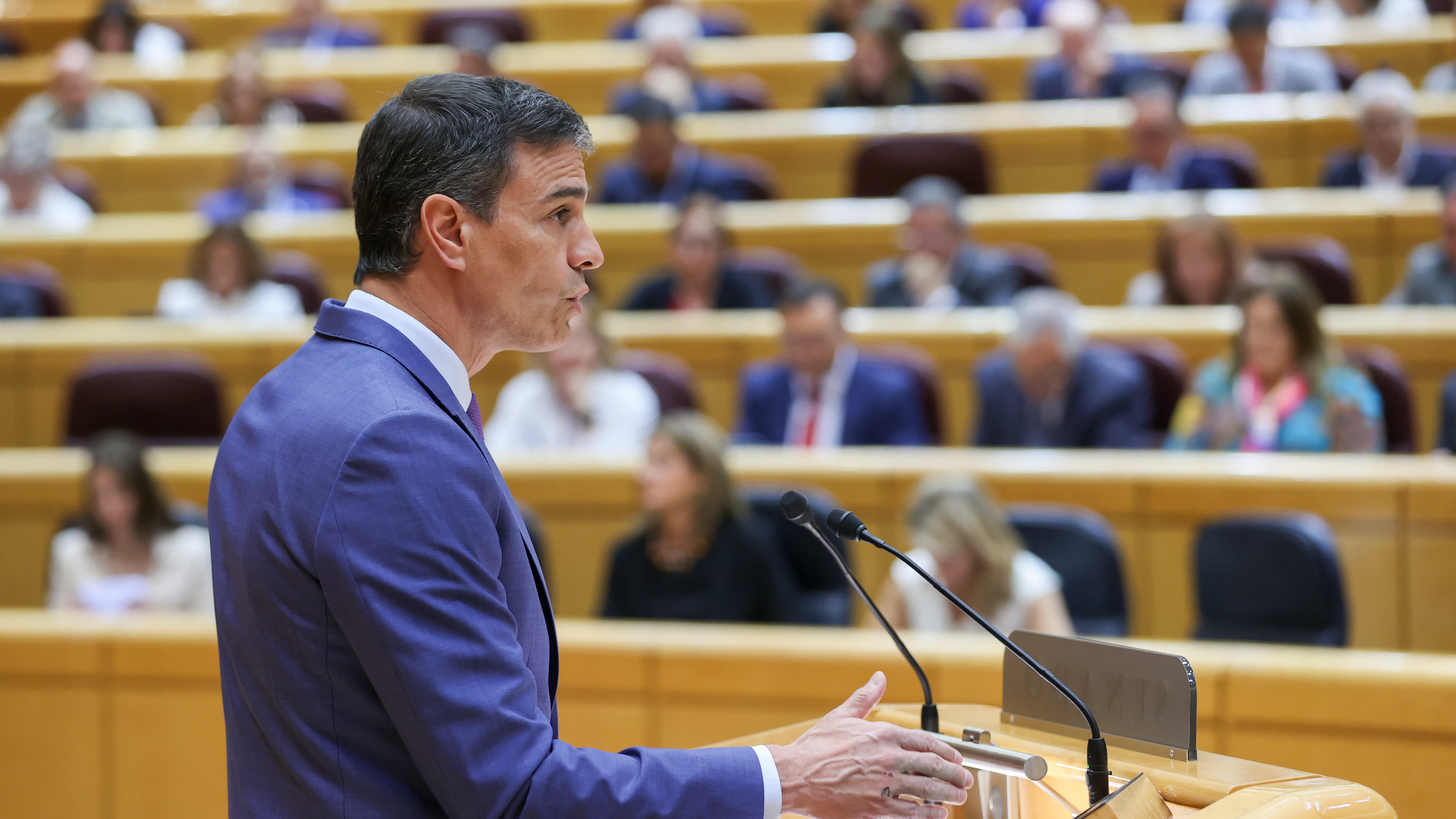 El presidente del Gobierno, Pedro Sánchez, durante su intervención en el Senado