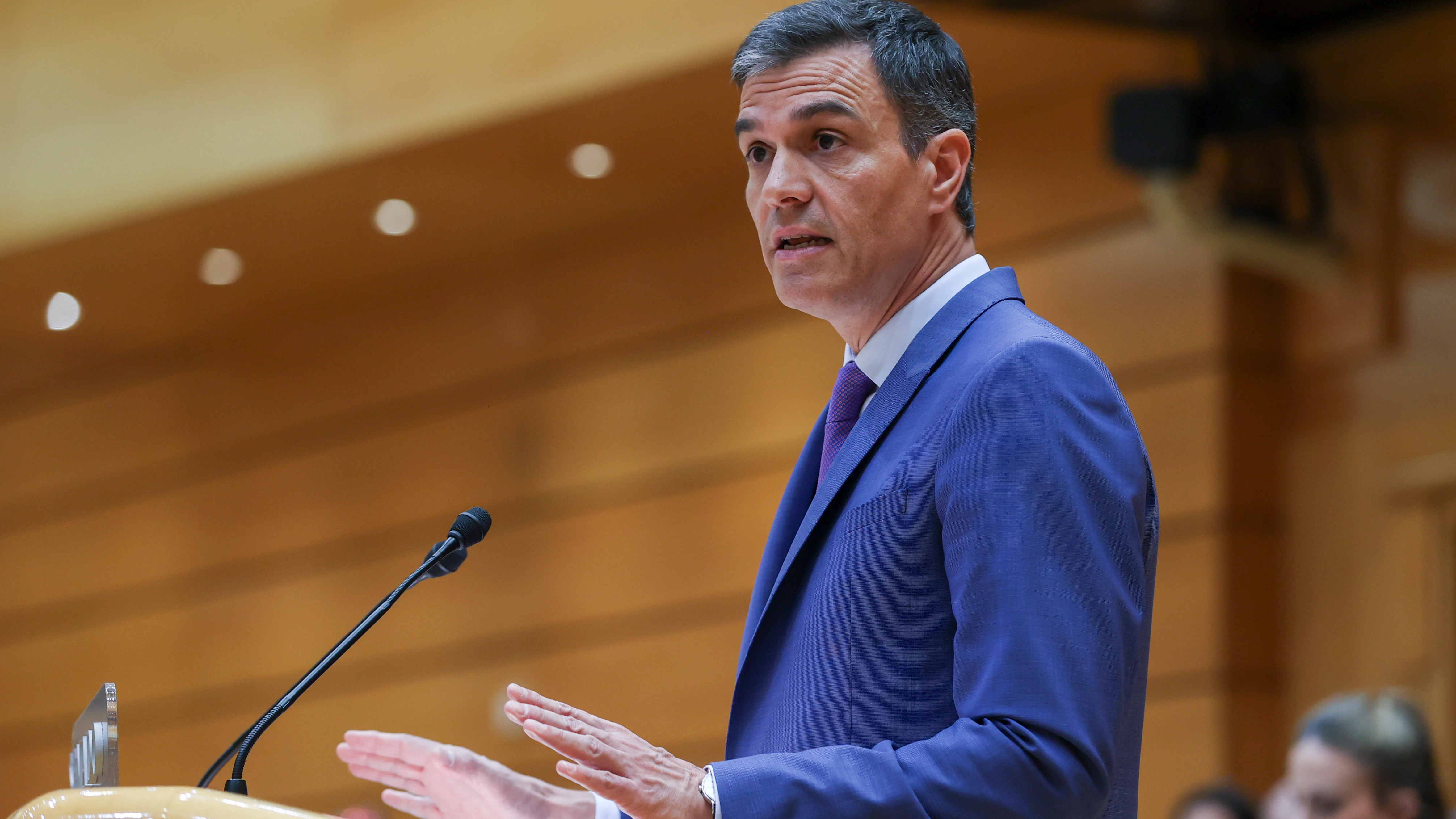 El presidente del Gobierno, Pedro Sánchez, durante su intervención en el Senado