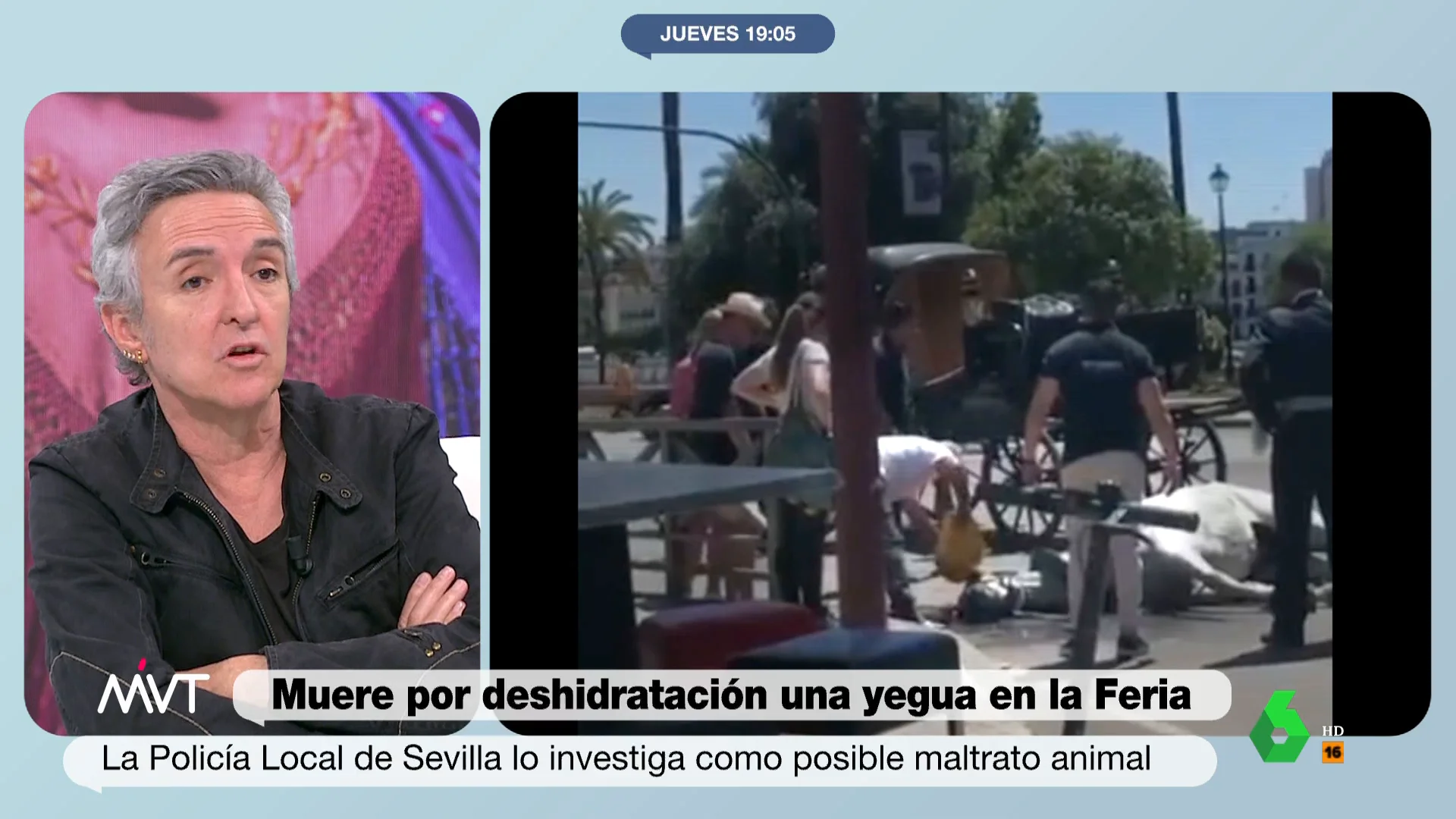 "La relación con los animales tiene que cambiar, pero ya", afirma Ramoncín sobre la muerte de una yegua por deshidratación y el vídeo de unos hombres pateando a un caballo exhausto en la Feria de Abril, que investigan como delito de maltrato animal.