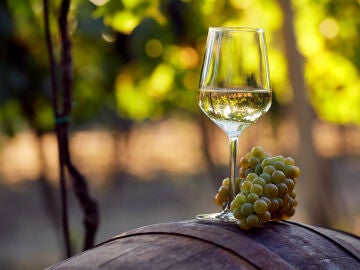 Imagen de una copa de vino en un viñedo