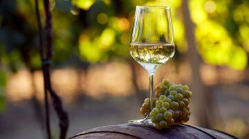 Imagen de una copa de vino en un viñedo