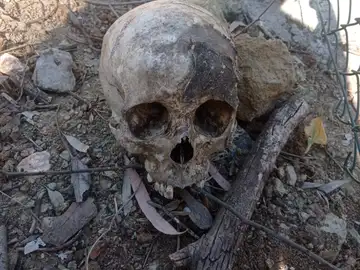 Imagen del cráneo en Benahavís, Málaga
