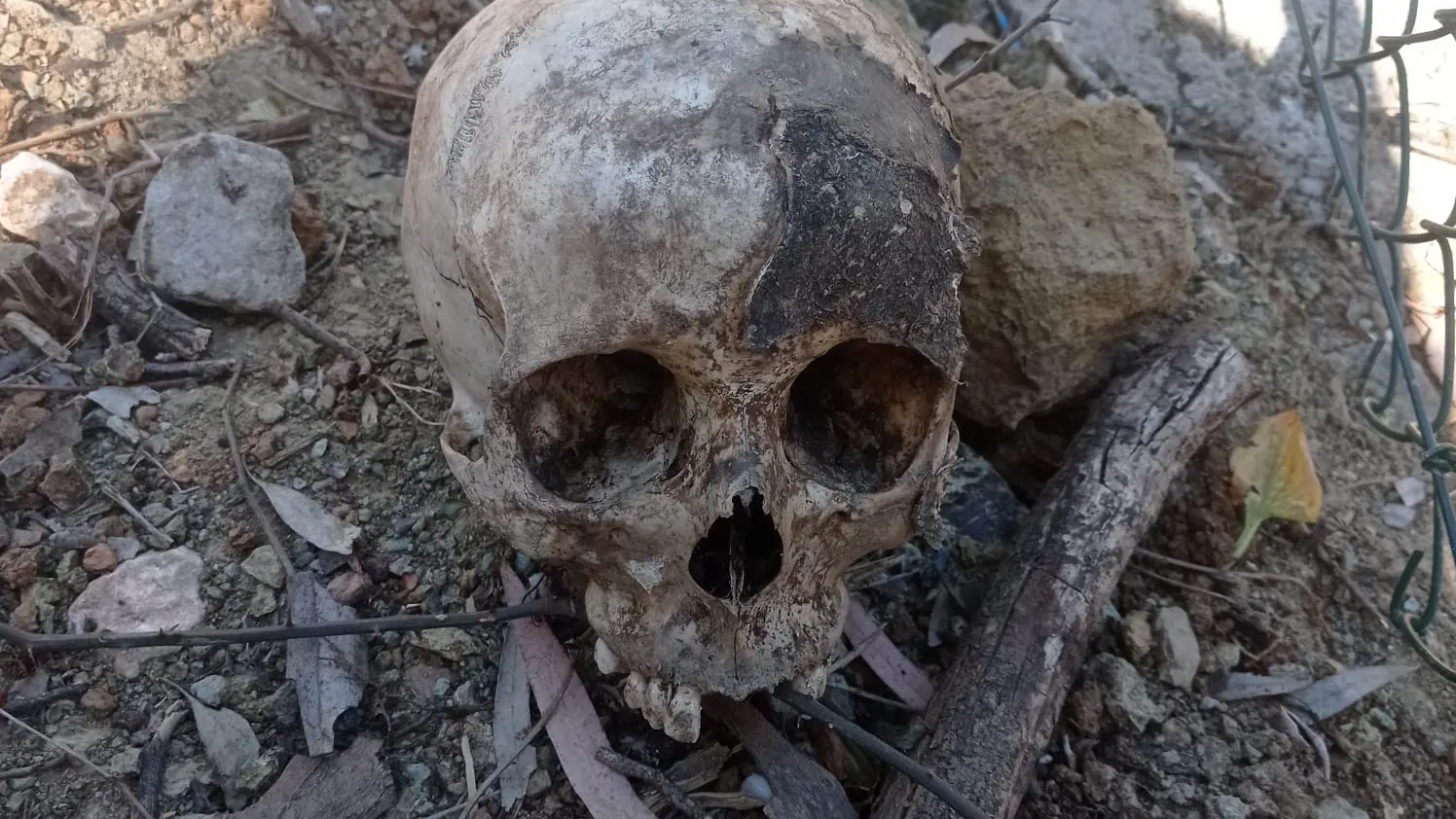 Imagen del cráneo en Benahavís, Málaga