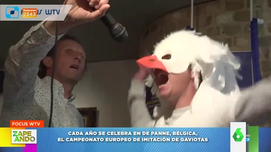 "No queda claro si al ganador le dan un trofeo o una sardina": así es el Campeonato Europeo de graznido de gaviotas "No queda claro si al ganador le dan un trofeo o una sardina": así es el Campeonato Europeo de graznido de gaviotas