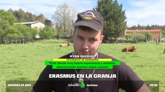 Galicia se convierte en el destino 'erasmus' de los ganaderos: el plan para atraer jóvenes al campo Galicia se convierte en el destino 'erasmus' de los ganaderos: el plan para atraer jóvenes al campo