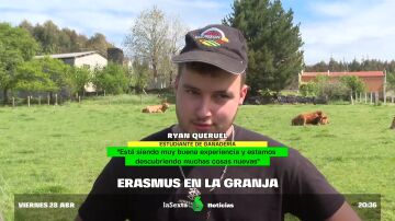 Galicia se convierte en el destino 'erasmus' de los ganaderos: el plan para atraer jóvenes al campo