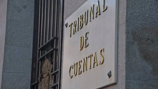Tribunal de Cuentas Los ERTE durante la pandemia en el punto de mira: el Tribunal de Cuentas detecta deficiencias en su gestión