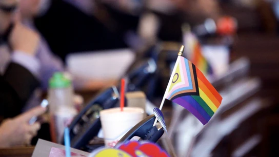 Una bandera en favor de los derechos LGTBI en la bancada demócrata de la Cámara de Representantes de Kansas durante un debate el 28 de marzo de 2023 Una bandera en favor de los derechos LGTBI en la bancada demócrata de la Cámara de Representantes de Kansas durante un debate el 28 de marzo de 2023