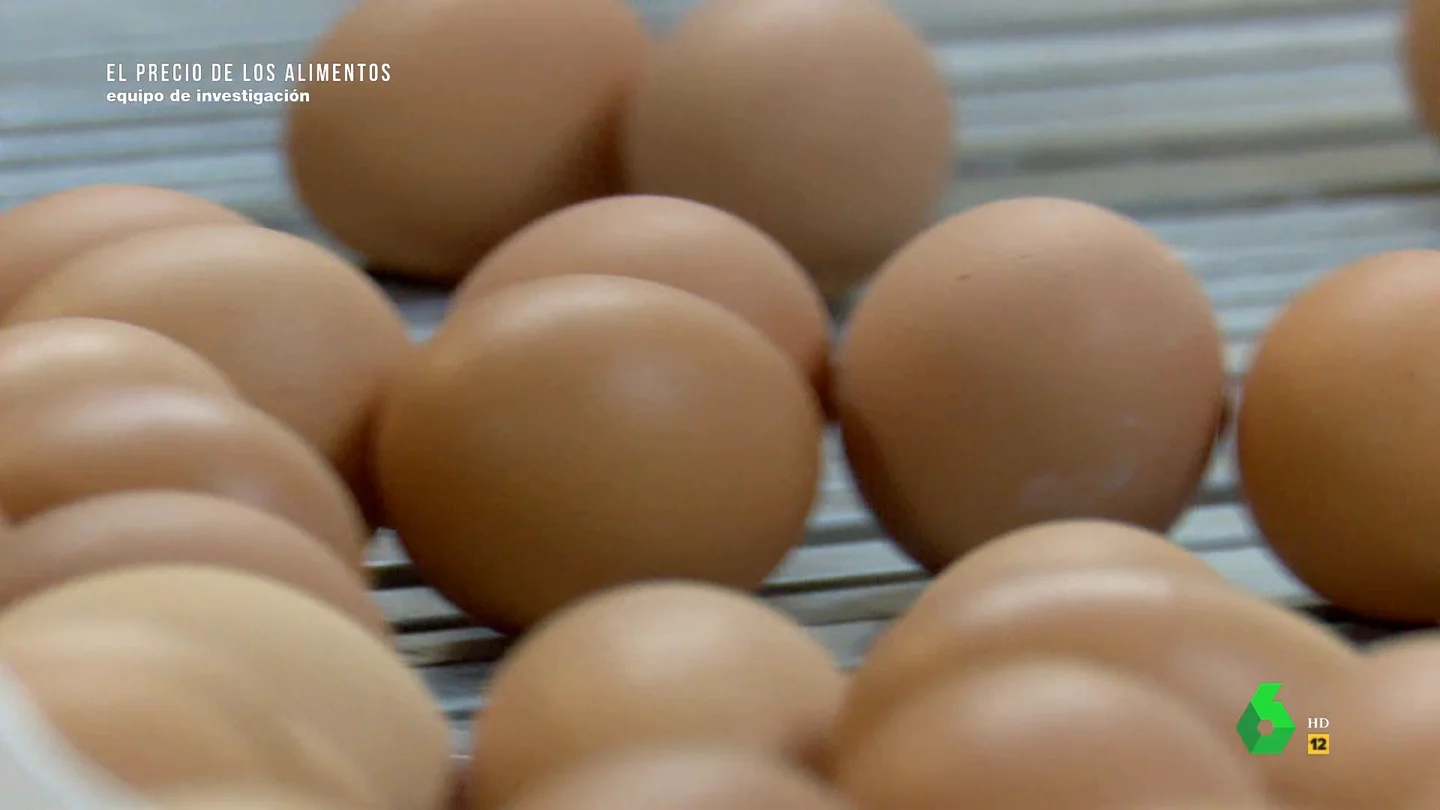 Imagen de unos huevos en el programa de Equipo de Investigación Imagen de unos huevos en el programa de Equipo de Investigación