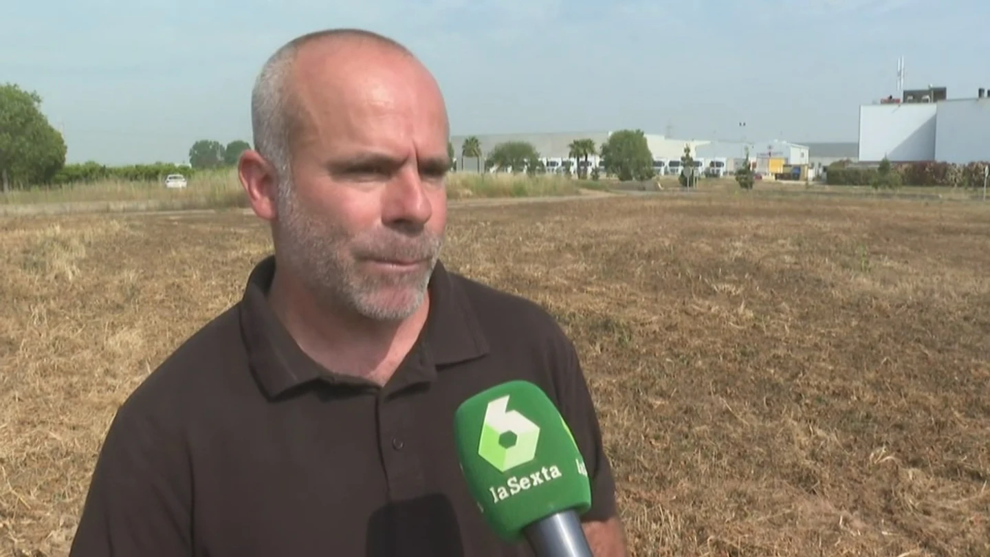 La sequía y la exigencia de los seguros ahoga a los agricultores: "Se está planteando tirar la fruta al suelo" La sequía y la exigencia de los seguros ahoga a los agricultores: "Se está planteando tirar la fruta al suelo"
