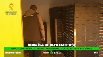 Encuentran 30 kilos de cocaína ocultos en fruta y detienen a siete implicados