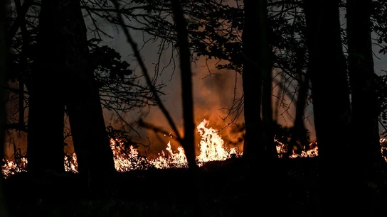 Imagen de archivo de un incendio forestal Imagen de archivo de un incendio forestal