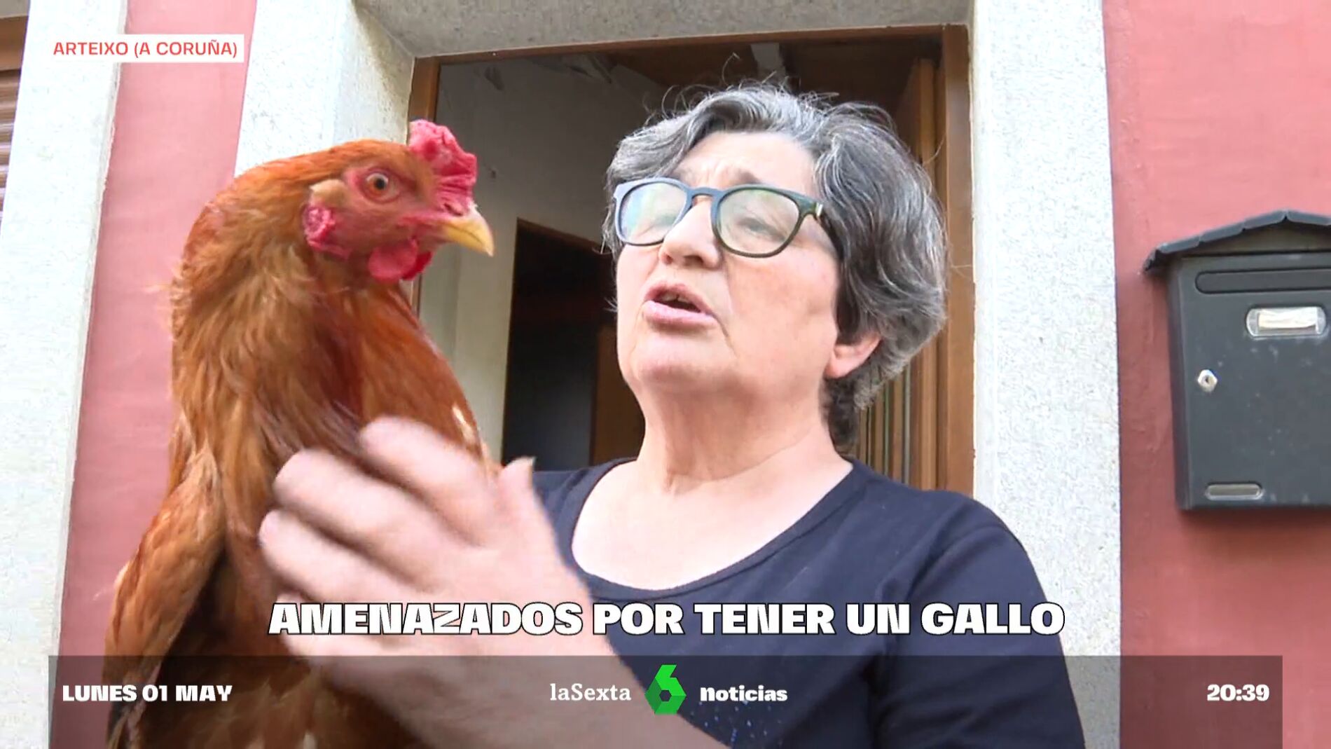 Sonido de gallo online para despertador