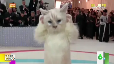 Jared Leto sorprende en la alfombra roja de la Gala Met con un disfraz de gato: ¡Es chulísimo!